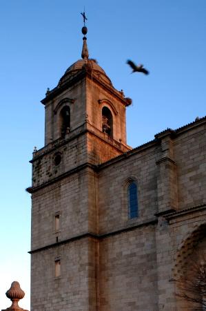 campanario iglesia con cigueña