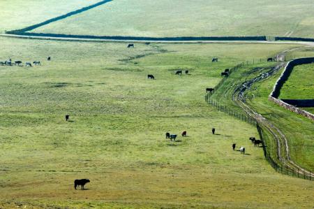 imagen panorámica del Campo Azálvaro