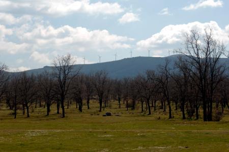 vista de los molinos